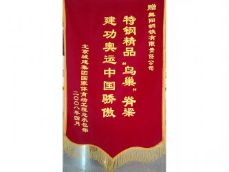 2008年北京奥运会、残奥会特别荣誉